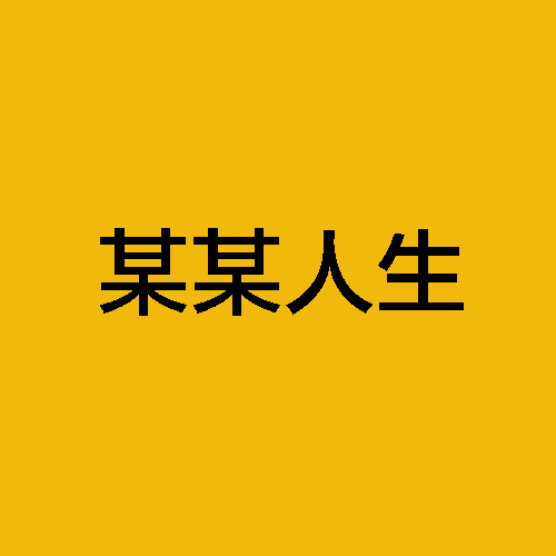 某某人生 Preis