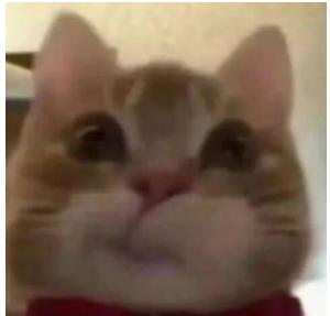 Wie verkauft man 歪嘴小猫 (歪嘴小猫)