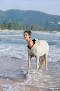 河马(何马)とは