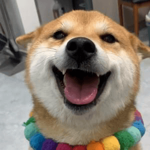 王佩奇(王佩奇)とは