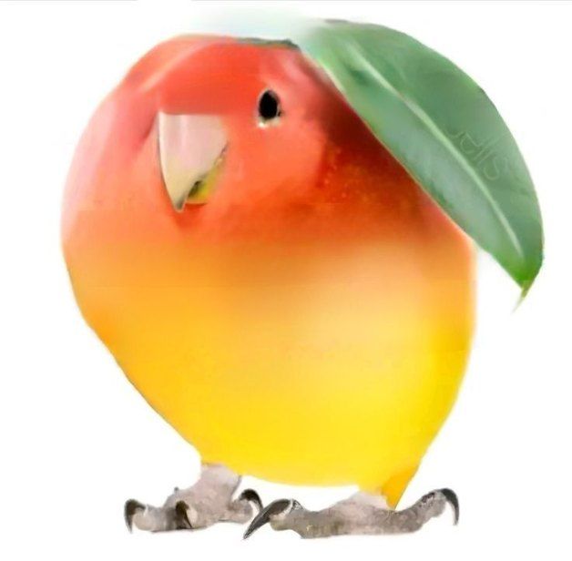 蓝瘦香菇 价格