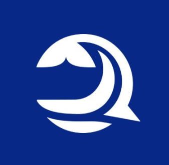 Comment vendre 蓝鲸人工智能-AI (蓝鲸-AI)