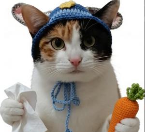 Preço de 超级无敌大开门