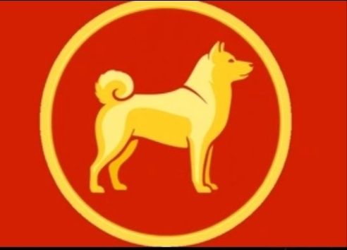 Como vender 金狗 (金狗)