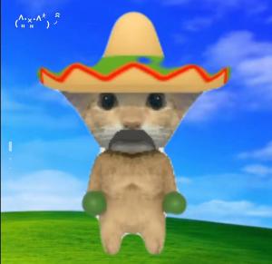 阿米嘎蒂朵(阿米嘎蒂朵)とは