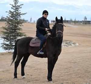 马年快乐(马年快乐) nima