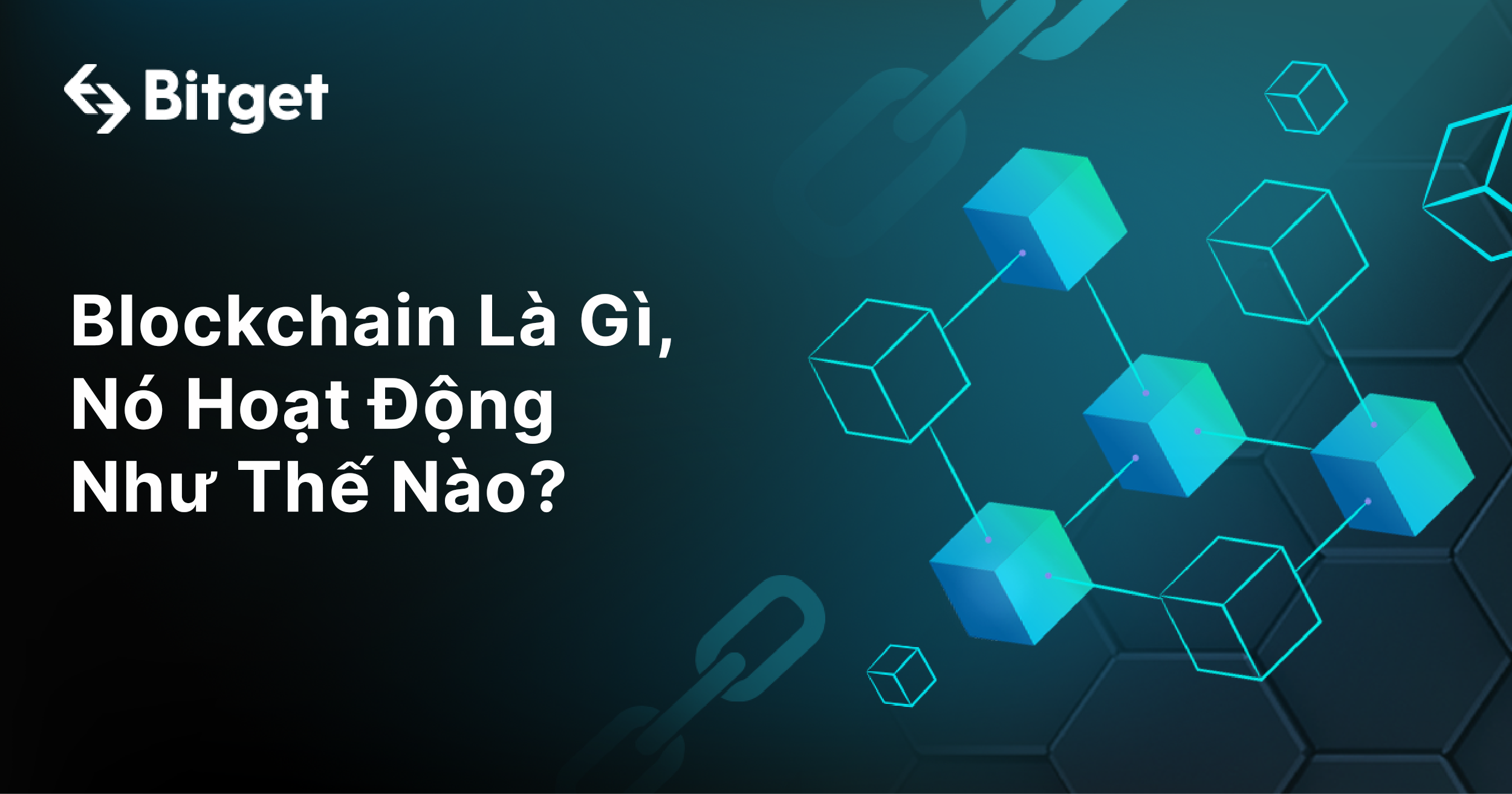 Blockchain Là Gì, Nó Hoạt Động Như Thế Nào?