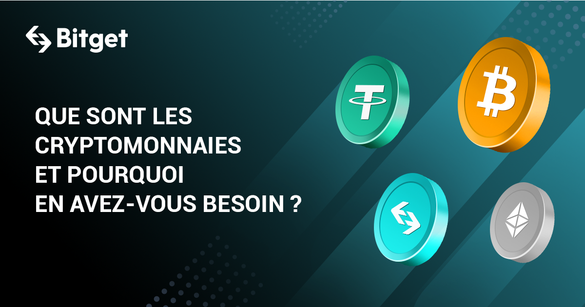 QUE SONT LES CRYPTOMONNAIES ET POURQUOI EN AVEZ-VOUS BESOIN ?