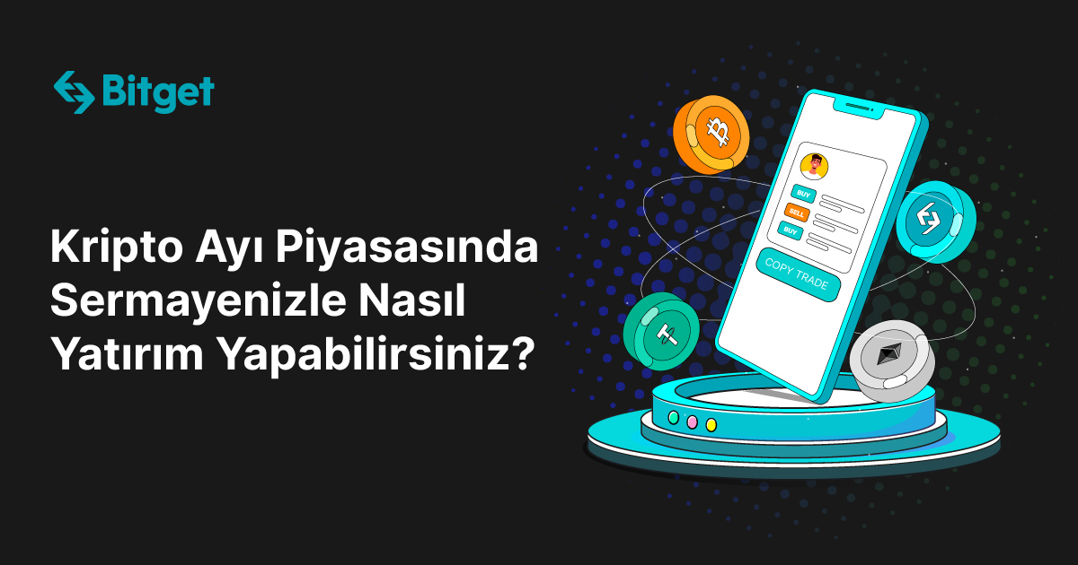 Kripto Ayı Piyasasında Sermayenizle Nasıl Yatırım Yapabilirsiniz?