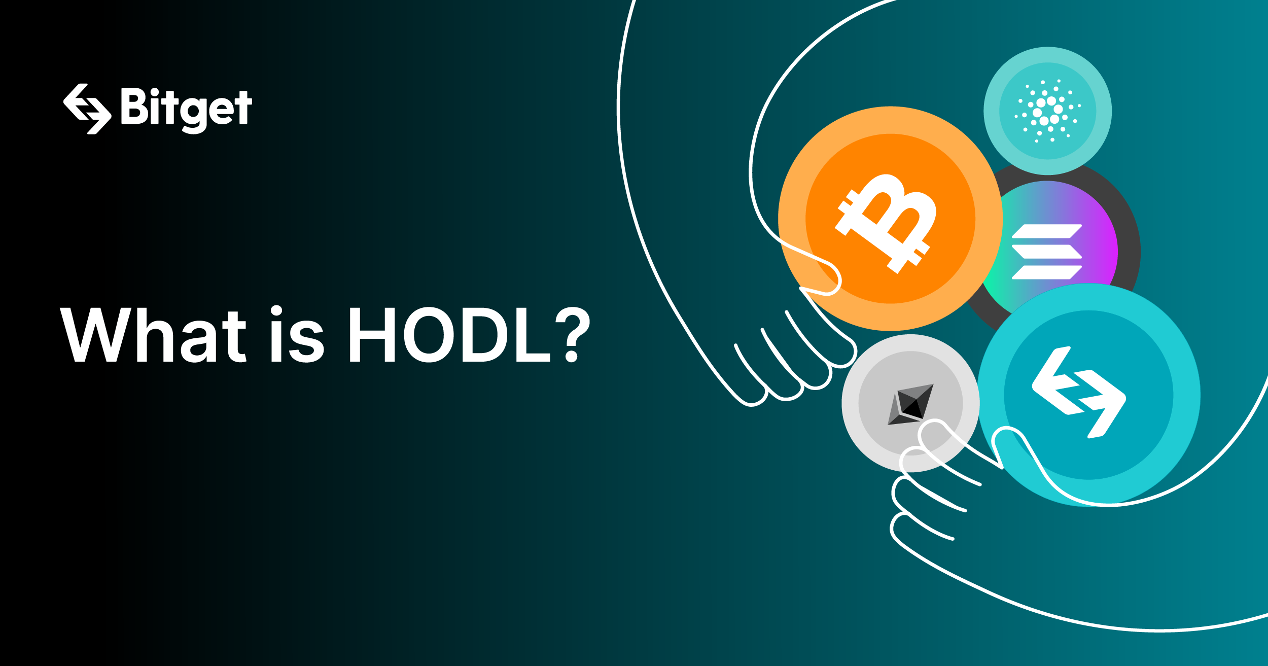 What is HODL?