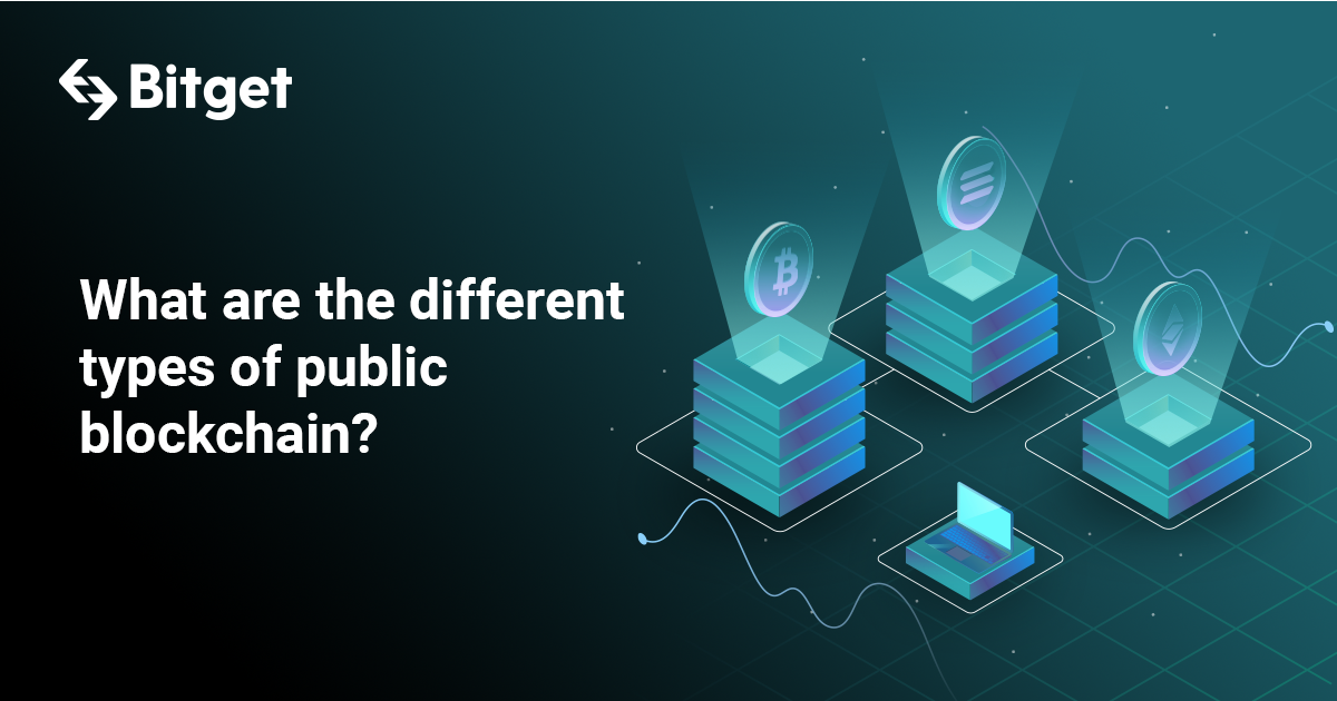 What Are The Different Types Of Public Blockchain?