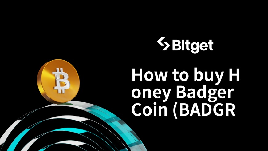 Honey Badger Coinの購入方法