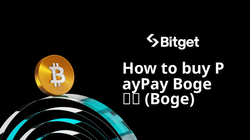 Hướng dẫn mua PayPay Boge 伯格