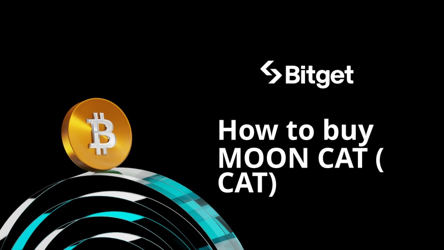 طريقة شراء MOON CAT