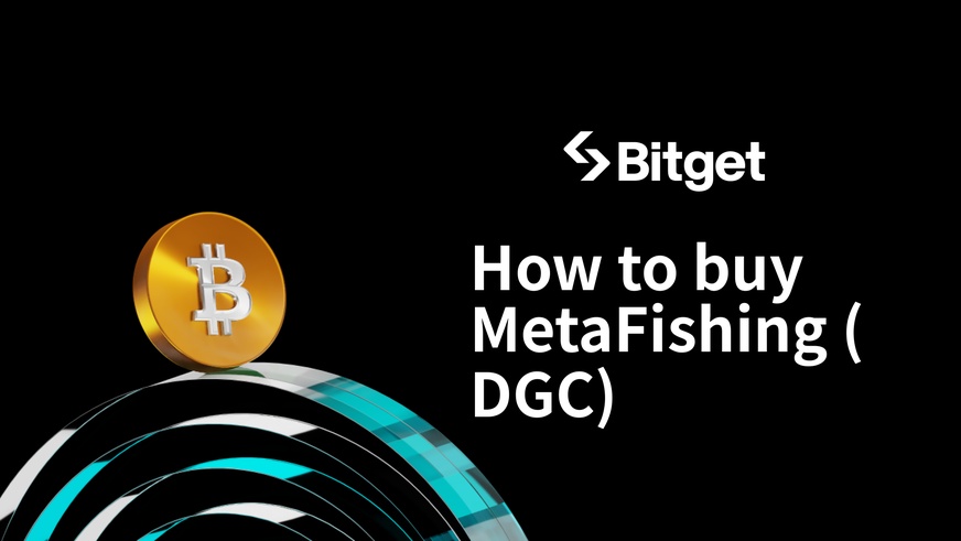 MetaFishingの購入方法