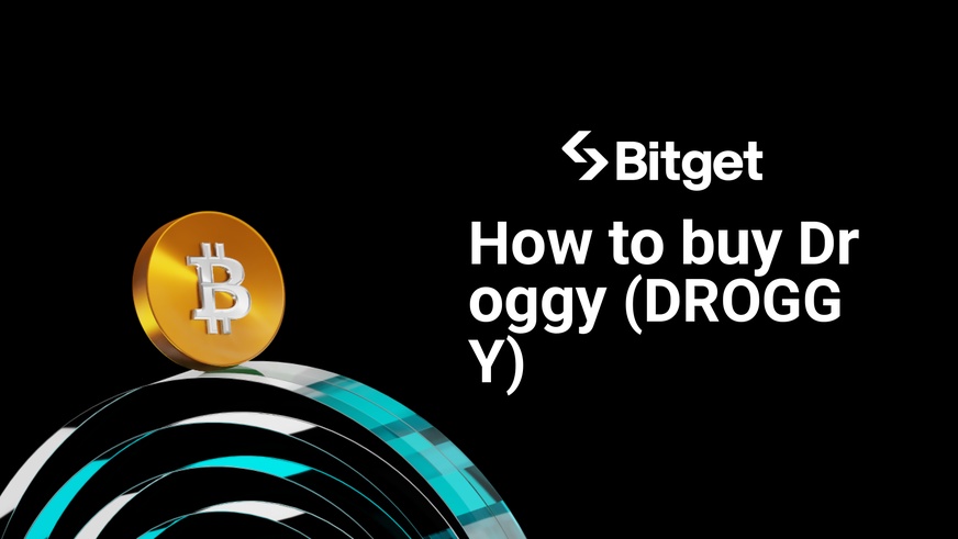 How to buy Droggy