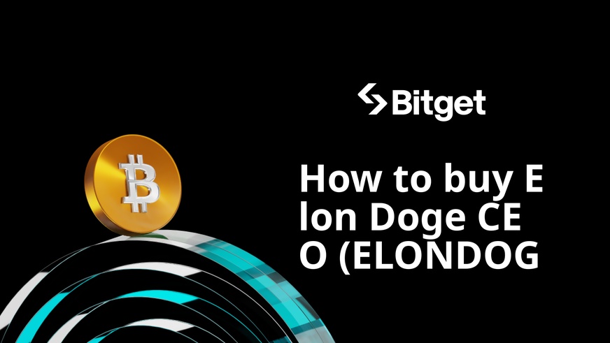 طريقة شراء Elon Doge CEO