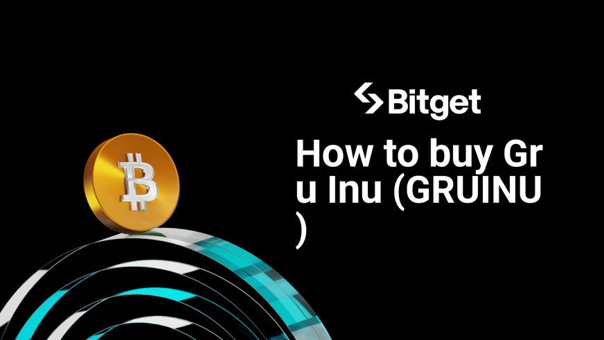 Come acquistare Gru Inu