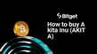 How to buy Akita Inu