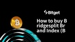 Bridgesplit Brand Indexの購入方法