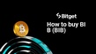 Como comprar BIB