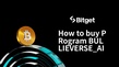 如何购买PRogram BULLIEVERSE_AI Ai