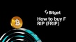 Como comprar FRIP