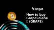 How to buy GrapeSolana🍇