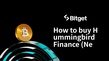 Hummingbird Finance (New)の購入方法