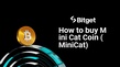 Cara membeli Mini Cat Coin