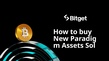 طريقة شراء New Paradigm Assets Solution