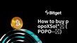 如何購買 popoXSol*🐼