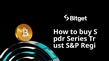 طريقة شراء Spdr Series Trust S&P Regional Bkg Etf
