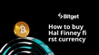 Як купити Hal Finney first currency
