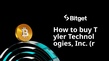 How to buy Tyler Technologies, Inc.
