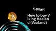 如何購買 Viking Haaland