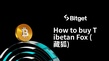 如何购买Tibetan Fox