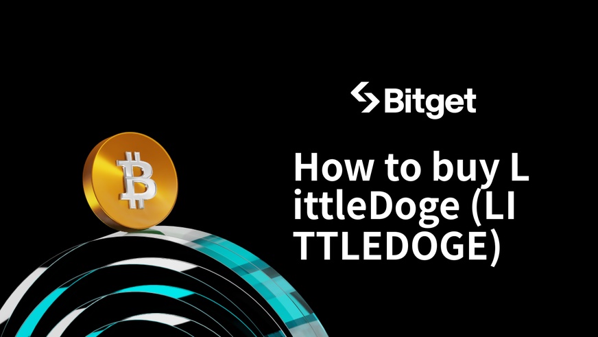 LittleDogeの購入方法