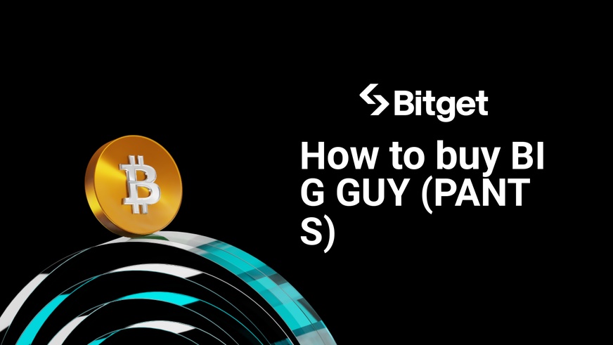 How to buy BIG GUY
