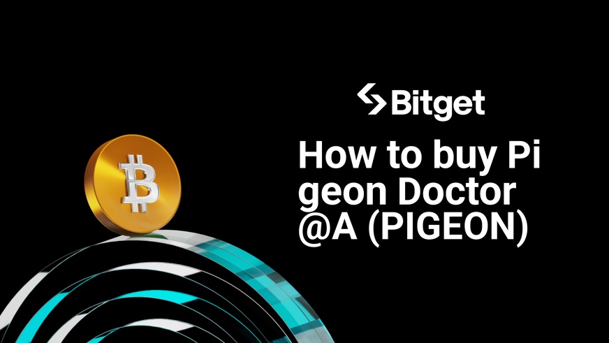 How to buy Pigeon Doctor@A