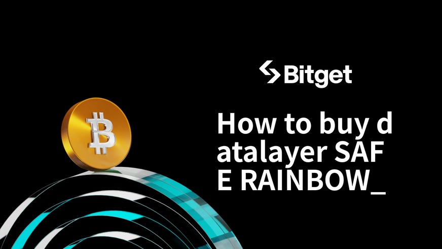 datalayer SAFE RAINBOW_COINの購入方法