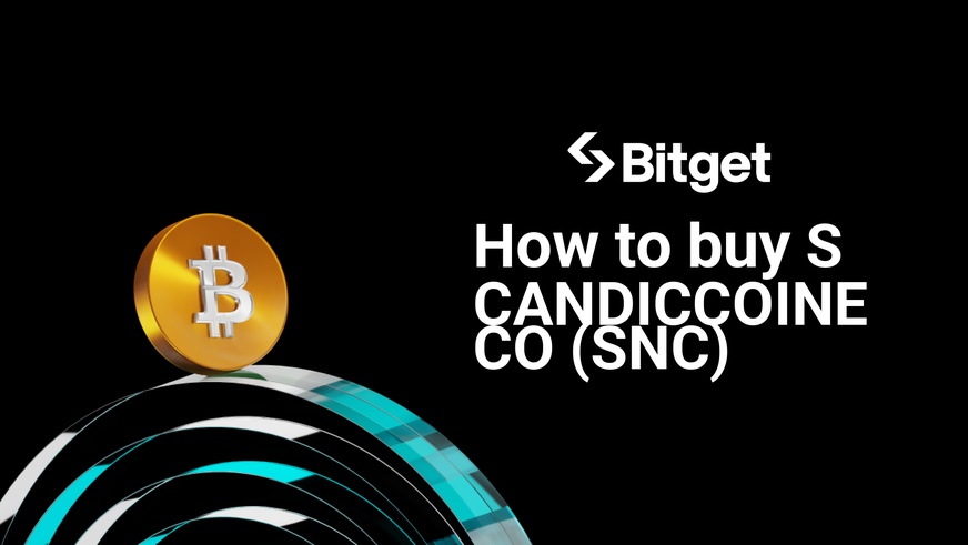 Paano bumili ng SCANDICCOINECO