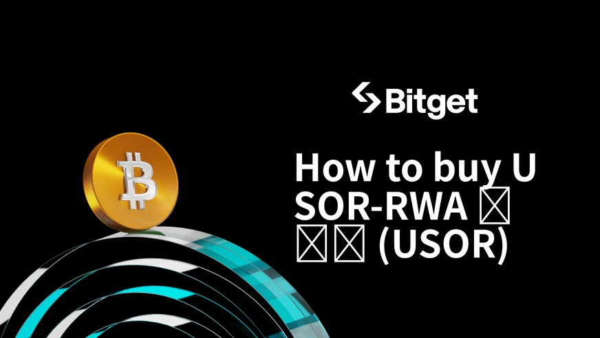 USOR-RWA 💰💰💰の購入方法