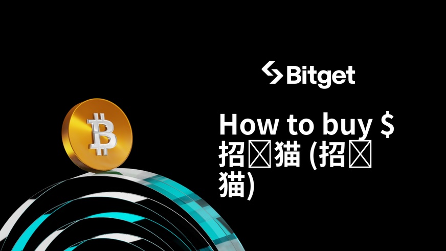 $招财猫の購入方法