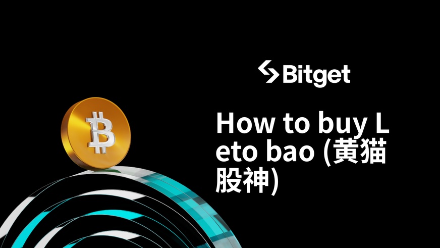 如何購買 Leto bao