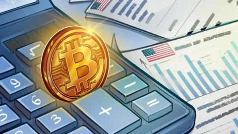 Bitcoin нарешті відновлюється, випереджаючи акції перед звітом Nvidia: чи збережеться ралі BTC?