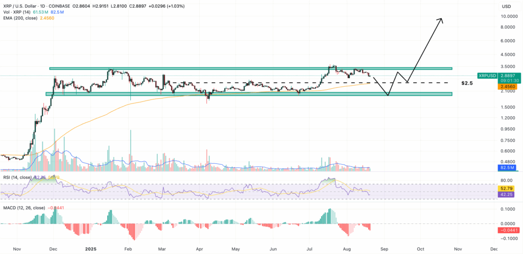 العملة التالية للانفجار: هل يقفز سعر XRP إلى 10 دولارات قريبًا؟ image 0