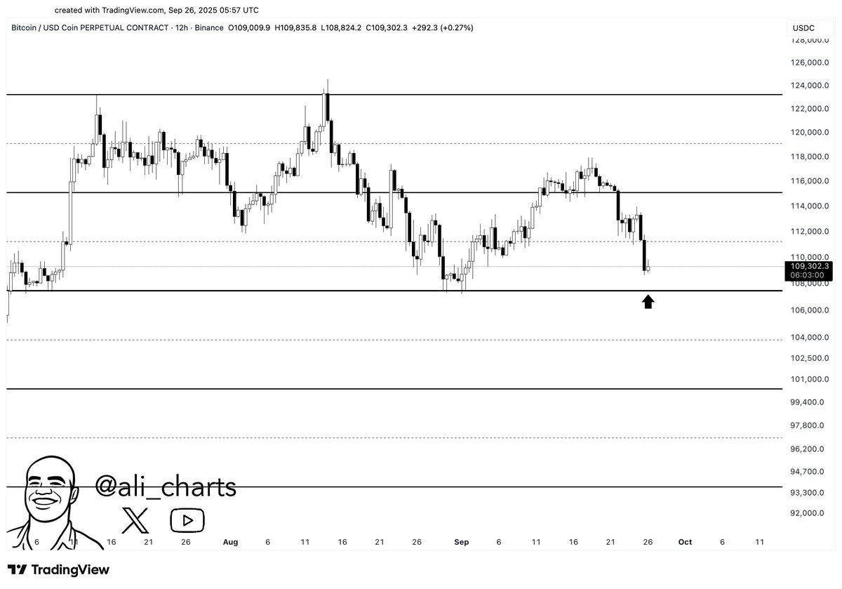 Trader Says Bitcoin Could Crash by Double Digits, Outlines Path Forward for Ethereum and XRP image 0