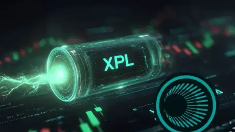 Dall'evento di airdrop di XPL, esplorando il futuro del Perp Protocol in un mercato delle commissioni da 300 miliardi di dollari