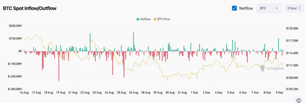 Bitcoin Whales Holding 100–1,000 BTC Appear to Hit Record Highs as Exchange Outflows Tighten Supply image 1